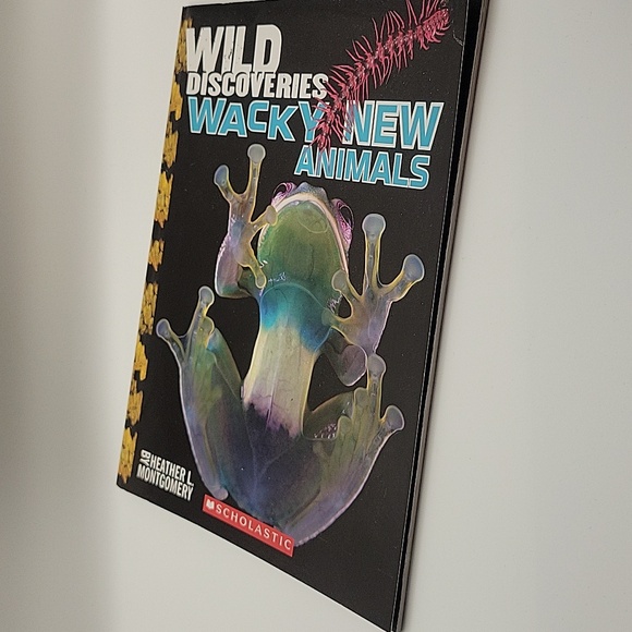 Book: Wild Discoveries Wacky New Animals - Picture 5 of 8